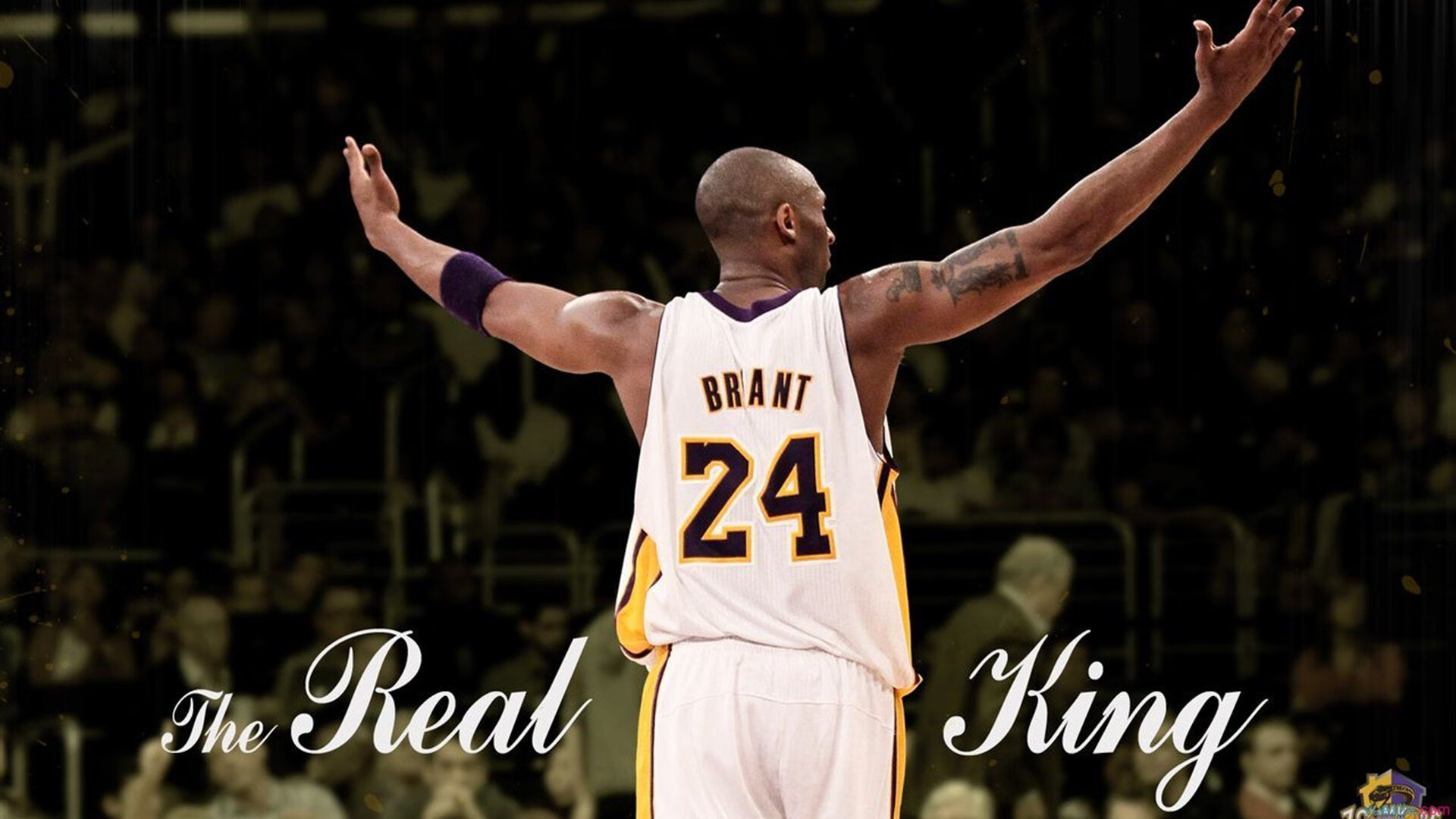 赛道上的权力更迭，哈斯车队如何碾压雷诺，以及周冠宇的崛起